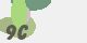 securitycode