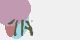 securitycode