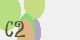 securitycode