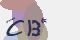 securitycode