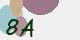 securitycode