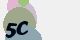 securitycode
