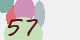 securitycode