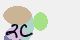securitycode