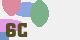 securitycode