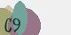 securitycode