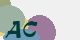 securitycode