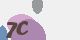 securitycode