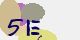 securitycode