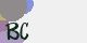 securitycode