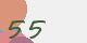 securitycode