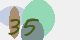 securitycode