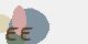 securitycode