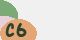 securitycode