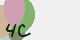 securitycode