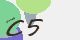 securitycode