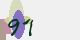 securitycode