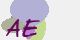 securitycode