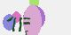 securitycode