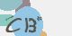 securitycode
