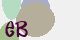 securitycode