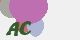 securitycode