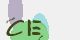 securitycode