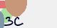 securitycode
