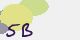 securitycode