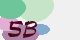 securitycode