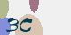securitycode