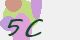 securitycode