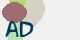 securitycode