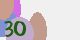 securitycode