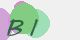securitycode