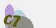 securitycode