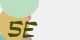 securitycode