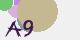 securitycode