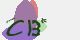 securitycode