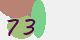 securitycode