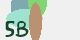 securitycode