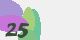 securitycode