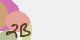 securitycode