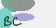 securitycode