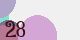 securitycode