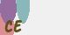 securitycode