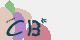 securitycode