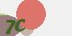 securitycode