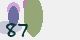 securitycode