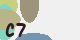 securitycode